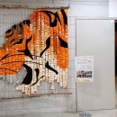 원당리 - 생태식물원 전나무 가로수 | 국립백두대간수목원 - 방문자센터, 진입광장 (210825)