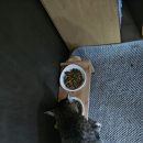 와이케이 더블유 이미지