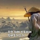 무소유(유지나) 이미지