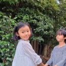 금동농장 이미지