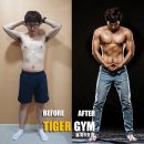 타이거짐 이미지