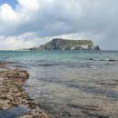 수색초등 이미지