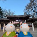 남이섬 | [가평] 남이섬 방문 후기 &amp; 주차 팁