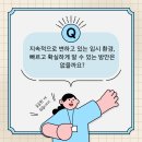 채원석학원