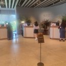 오션빌리지 | 부산숙소 아난티 앳 부산 빌라쥬 캐빈S 오션빌리지뷰 이용후기