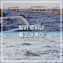 돌고래식당 | 발리 로비나 돌고래 투어 망한 후기, 불레렝 숙소 카페 식당 맛집 정보