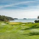 파인비치 이미지