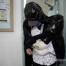 최씨스토리 이미지