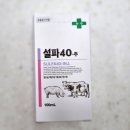 설파약국 이미지