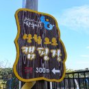 간월도캠핑장 이미지