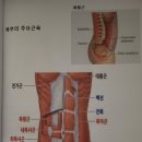 퀸스킨앤바디 이미지