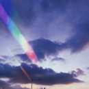 종우약국 이미지