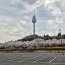 1132 | 이월드 완벽한 벚꽃구경 &amp; 톰포드 TF1132K 01A 아시안핏 빅사이즈 실사용 후기: