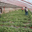 동수농장 이미지