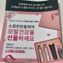 버블헤어 이미지