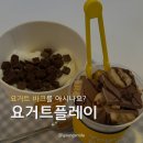 인천송도디저트 [요거트플레이] 요거트바크 솔직후기