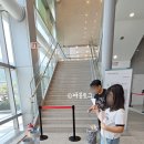 매직컬 환경 퍼포먼스 에코백 이미지