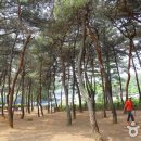 오봉산 맨발 등산로 이미지