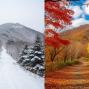 모악산 관광단지 3시간 40분 최단거리 산행 코스 이미지