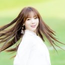 DGB대구은행파크 티스토리