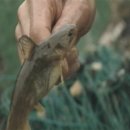 곡성-099 이미지