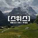 엠버서더 관광호텔 | [스위스 루체른 위치 좋은 가성비 숙소 추천] 엠배서더 호텔 루체른 후기 - 조식이 맛있는 곳
