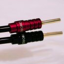 조이컴퍼니 이미지