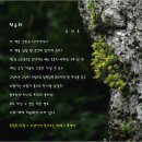 시창작 입문 이미지