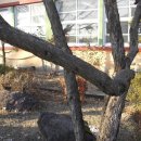 명동초등학교 이미지