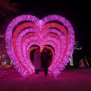 별빛새길갤러리&카페 이미지