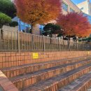 주식회사 바른중앙 이미지