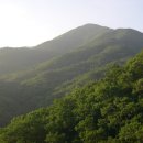 각호지맥(2구간) : 천만산-삼봉산 구간