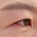 🌿 창원 속눈썹 펌 추천! ‘봄날의 브로우’ 방문 후기 내돈내산