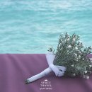 프렌드 샵(FRIEND SHOP) 이미지