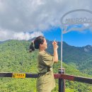 산전남편교차로 홈마트 쪽 | 대구 팔공산 케이블카 등산코스 동봉 비로봉 주차 가을 가볼만한 곳 추천