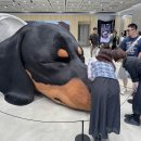 노웨어하우스 이미지