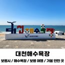 장안해수욕장 주차장 화장실 | 보령 대천해수욕장 주차장 화장실 샤워장 물품보관소 시설 후기