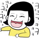 욜로게코