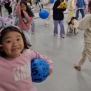 용인대아이러브태권도장 이미지