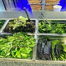 마루대패 이미지