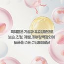 엔피팜(NP팜) | [공지] [10개 옵션 최고할인가] HARU 더하루 / 올인원워시, 수딩로션 / 전성분 그린등급:) / 바디워시...