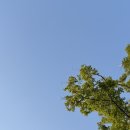 라이스 케키&커피 이미지