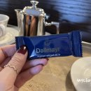 달마이어(Dallmayr)