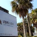 넙빌레스토리 | 제주 위미리 넙빌레스토리 : 레몬티