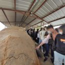 혜성여자중학교 이미지