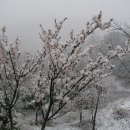 풍경농장 이미지