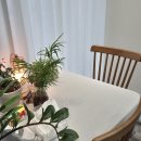 효신로 | 대구 히피펌 성지 동대구역 미용실 시코드헤어 추천 후기