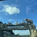 산속정원캠핑장 이미지