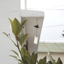 소목식탁 이미지