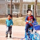 가운초등학교(병설) 이미지